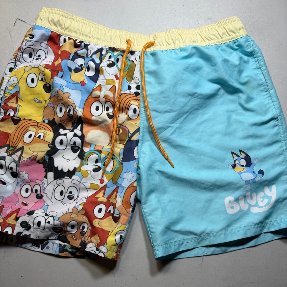 Men’s Swim Trunks medium